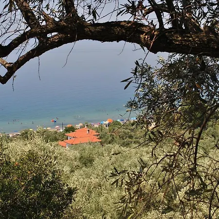 Paradise & * Koropi