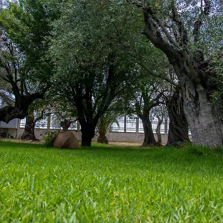 Paradise & Koropi